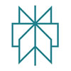 Perplexity favicon